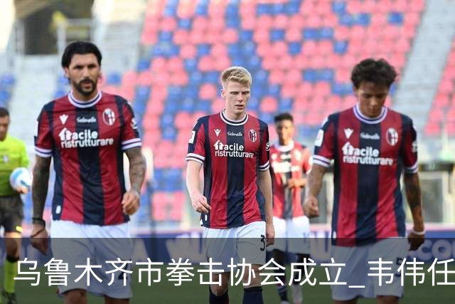 乌鲁木齐市拳击协会成立 韦伟任会长